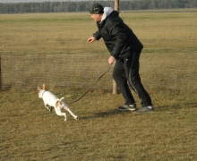 Psy i ich przewodnicy